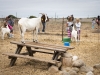 100805s_elcap_321