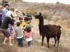 100805s_elcap_348