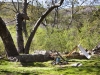 110308s__elcap_002