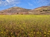 l120521s_elcapmesa_205