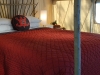 tentangleview1
